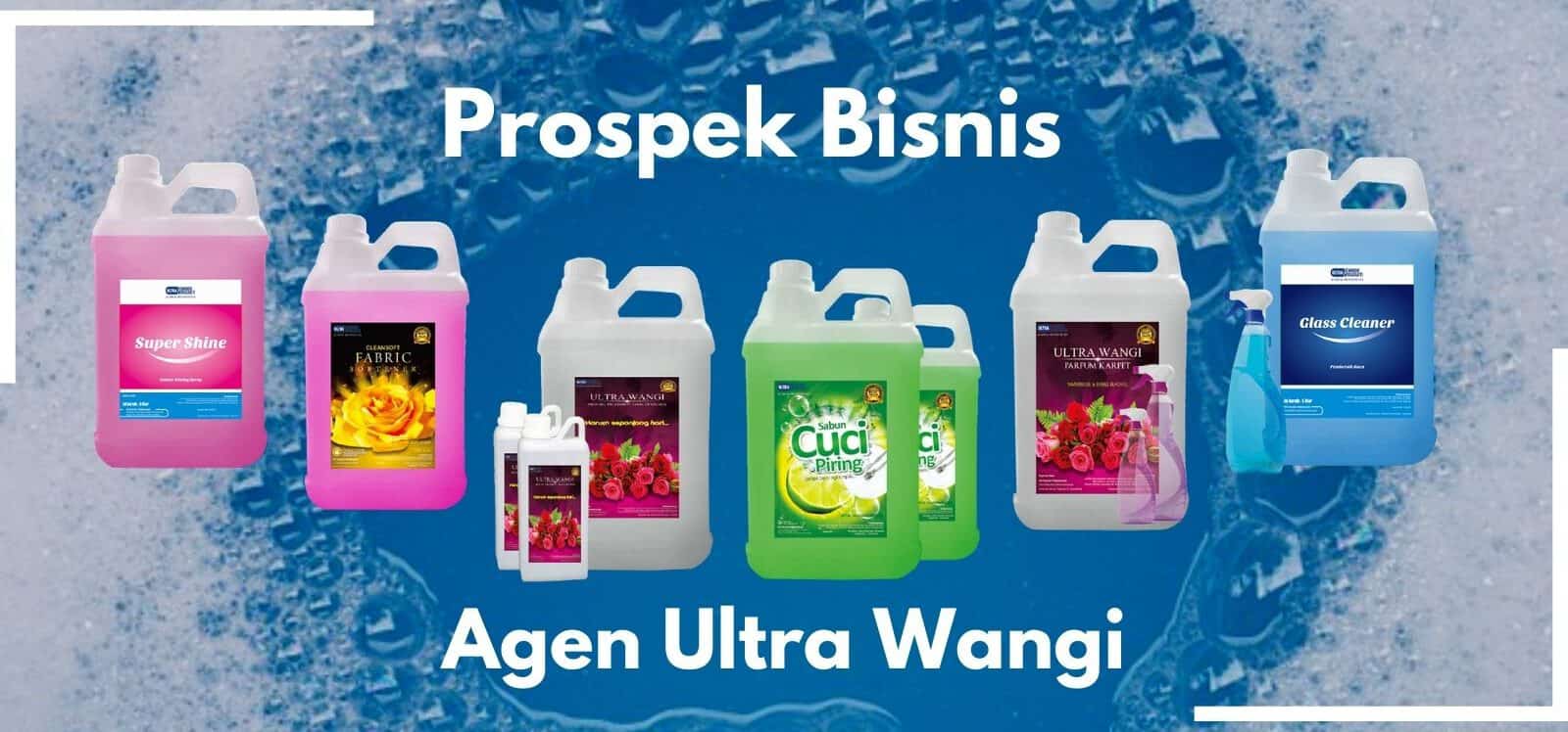 Prospek Bisnis Parfum Laundry Indonesia